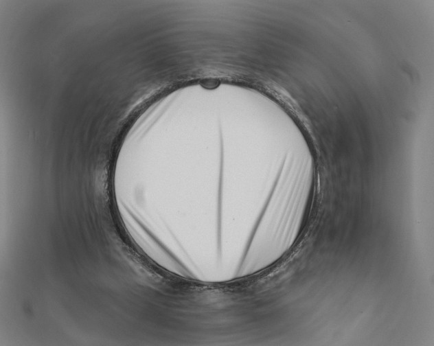 X0000112080249200909011049