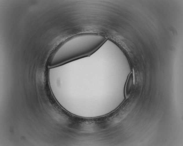X0000112080252200909011049