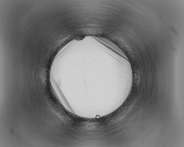 X0000112080255200909011050