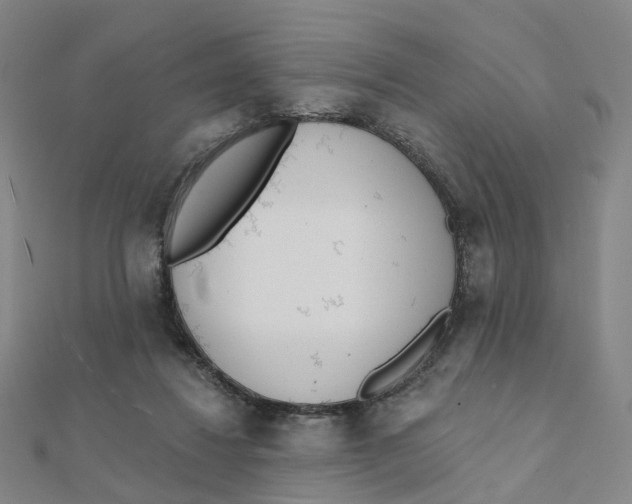 X0000112080260200909011050