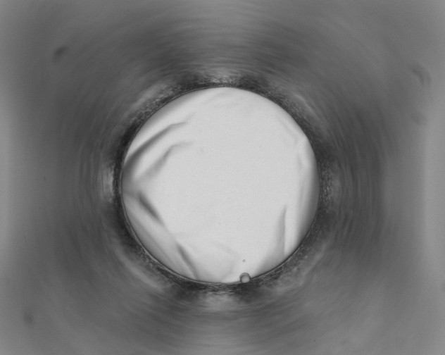 X0000112080262200909011050
