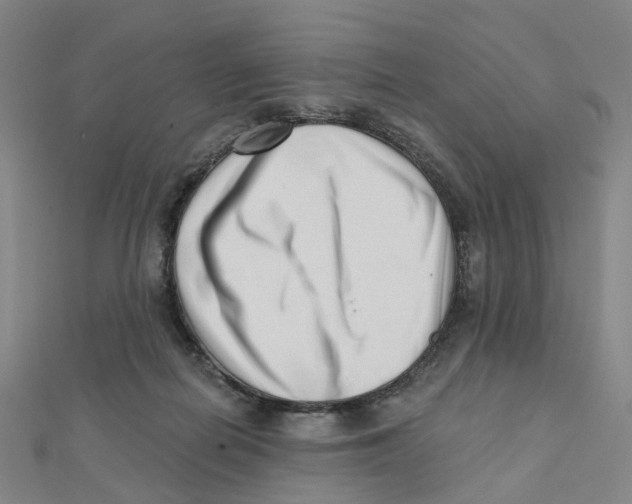 X0000112080266200909011050