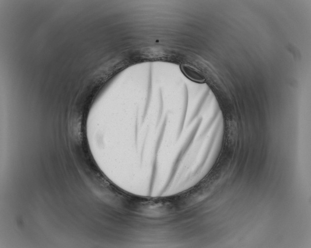 X0000112080267200909011050