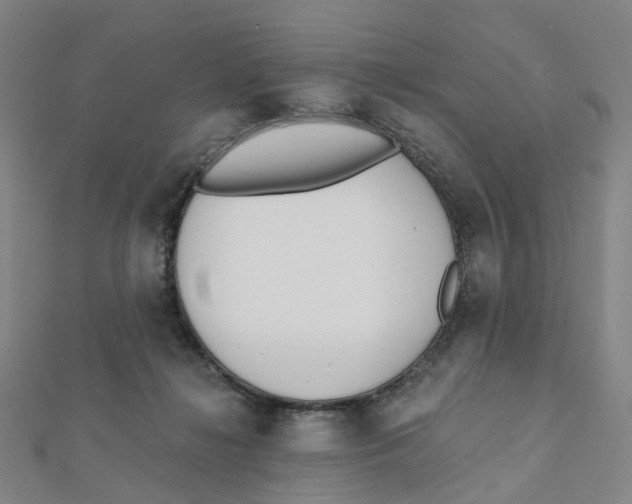 X0000112080268200909011050