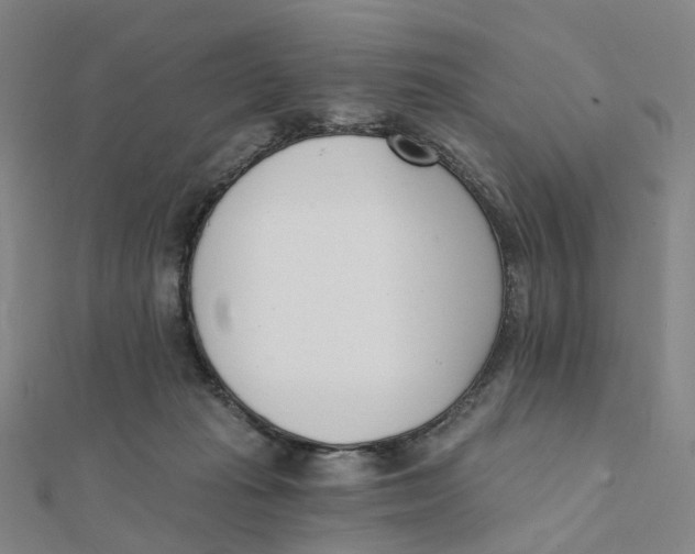X0000112080269200909011050