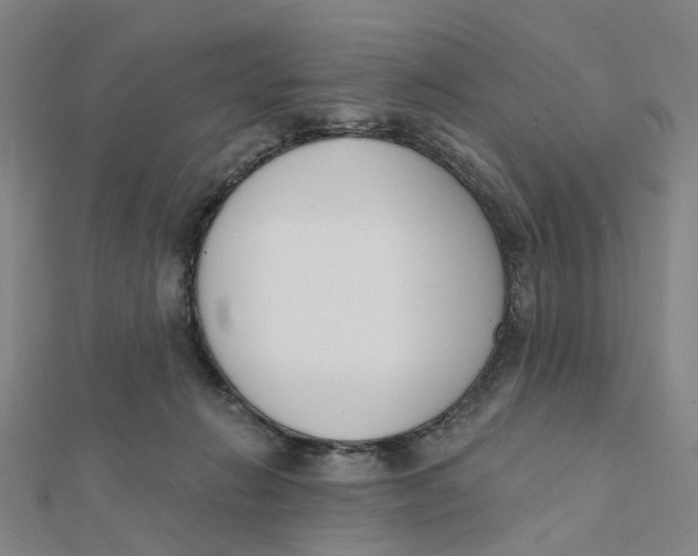 X0000112080270200909011050