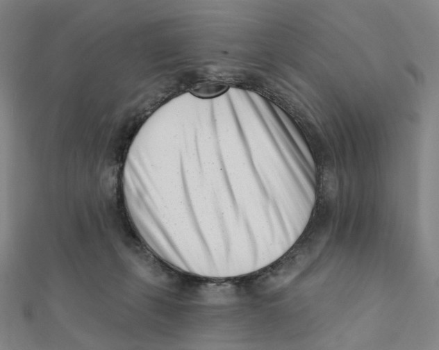 X0000112080271200909011050