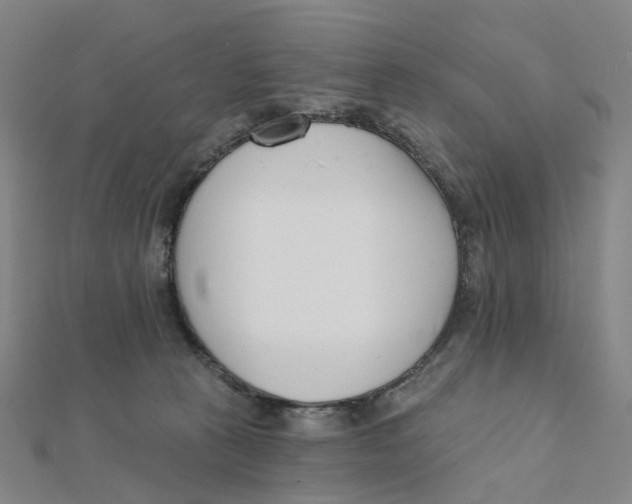 X0000112080273200909011050