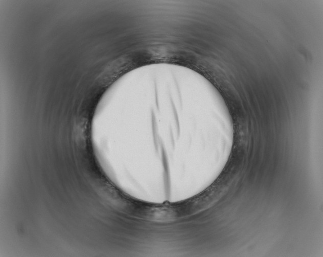 X0000112080275200909011050