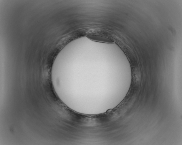 X0000112080276200909011050
