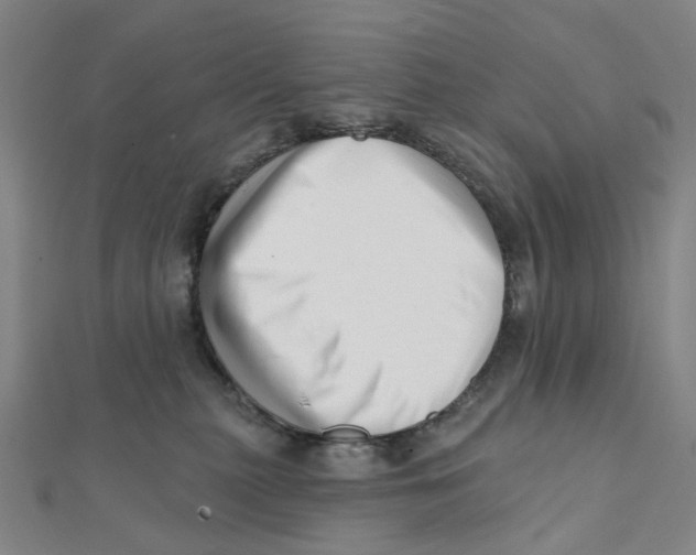 X0000112080279200909011050