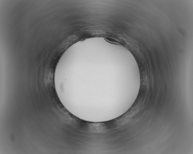 X0000112080281200909011050