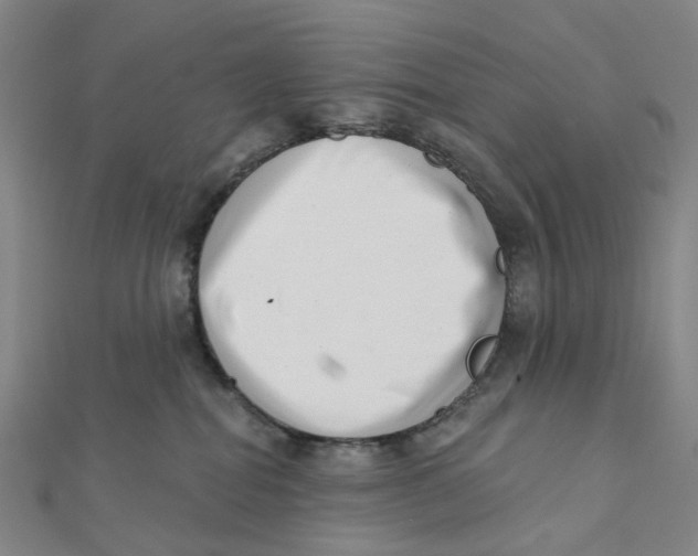 X0000112080282200909011050
