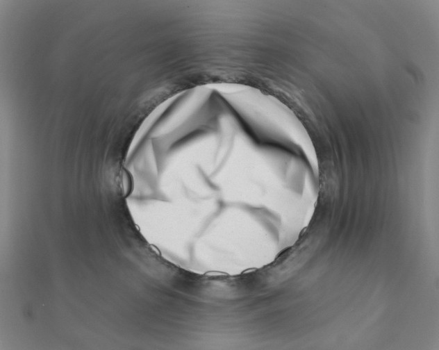X0000112080285200909011050