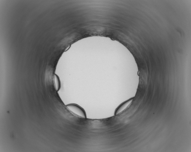 X0000112080287200909011050