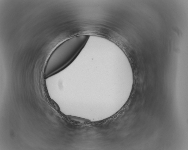 X0000112080289200909011049