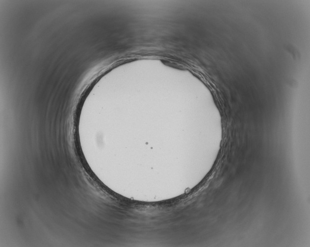 X0000112080293200909011049