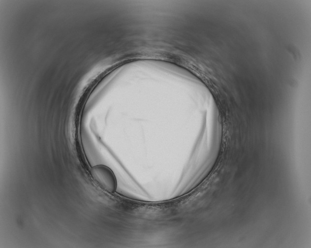 X0000112080294200909011049