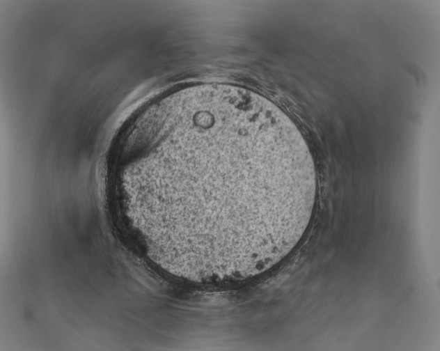 X0000112080295200909011049