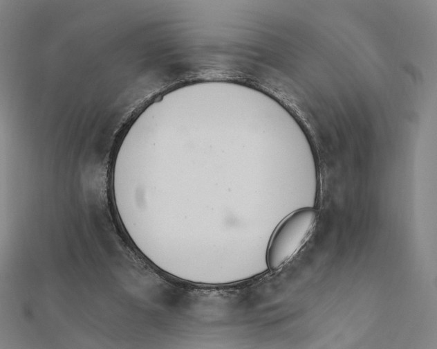X0000112080297200909011049