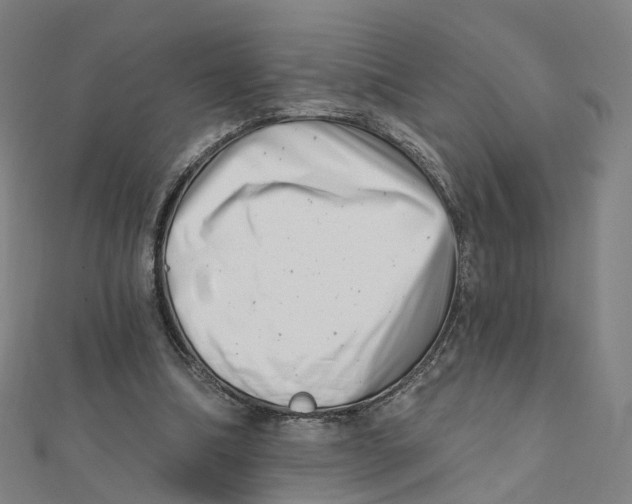 X0000112080298200909011049