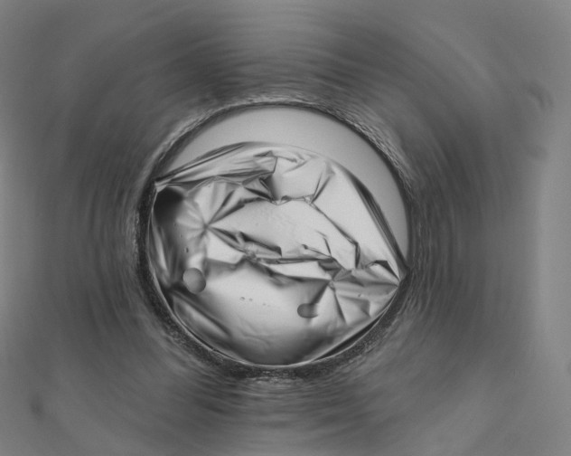 X0000112080300200909011049