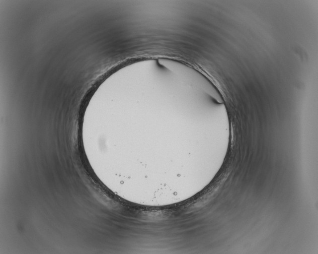 X0000112080301200909011049