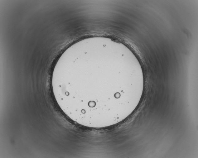 X0000112080305200909011049