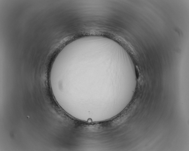 X0000112080306200909011049