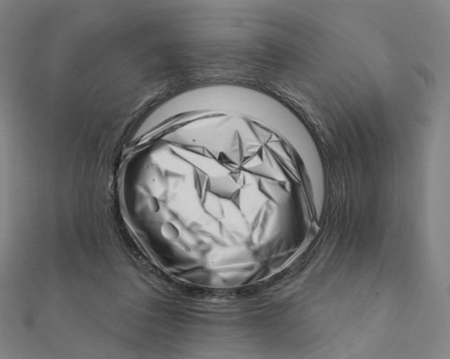 X0000112080308200909011049