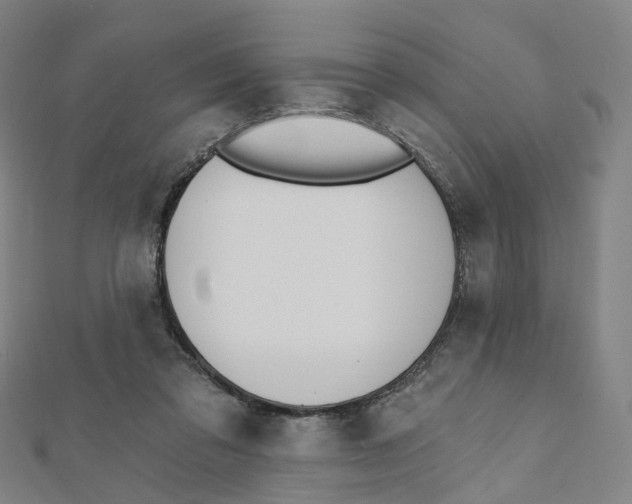 X0000112080309200909011049