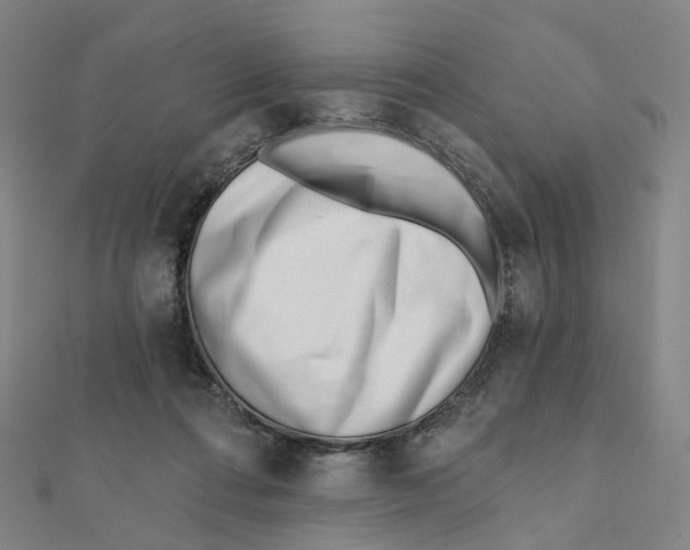X0000112080312200909011049