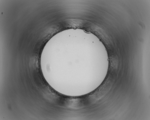 X0000112080313200909011049