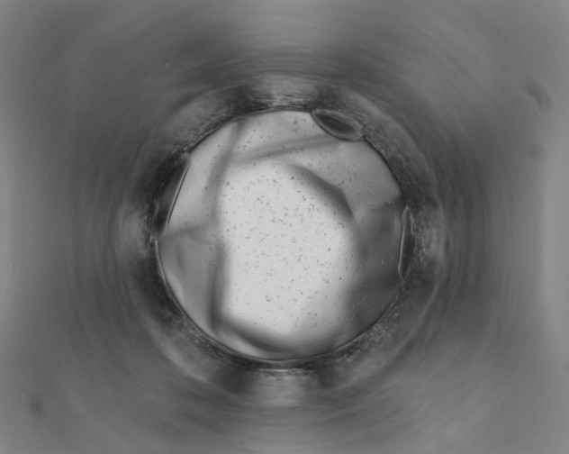 X0000112080316200909011049