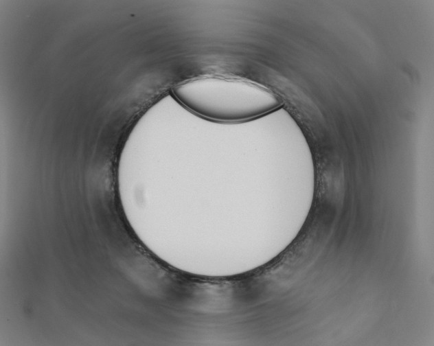 X0000112080317200909011049