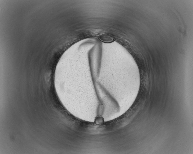 X0000112080319200909011049