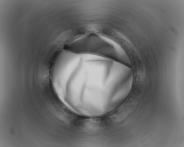 X0000112080320200909011049