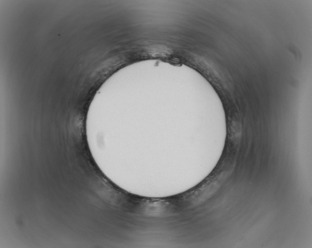 X0000112080321200909011049