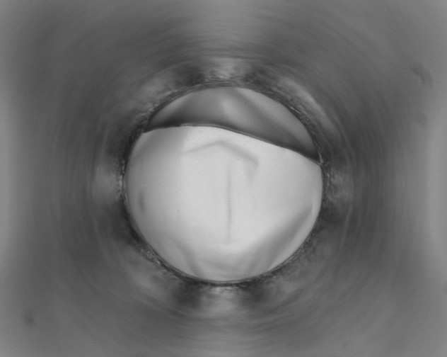 X0000112080324200909011049
