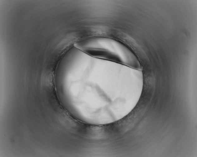 X0000112080325200909011049