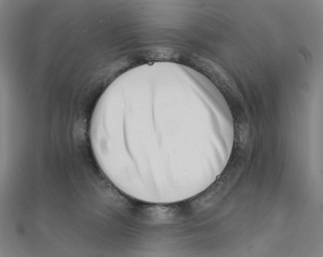 X0000112080326200909011049