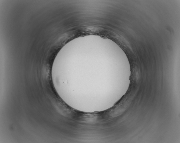 X0000112080328200909011049