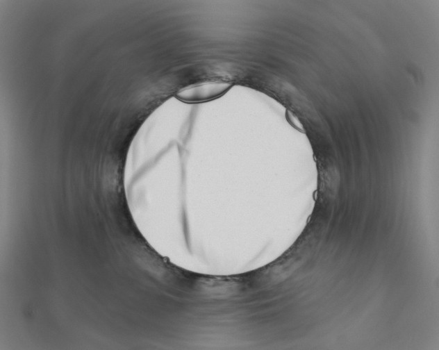 X0000112080331200909011049
