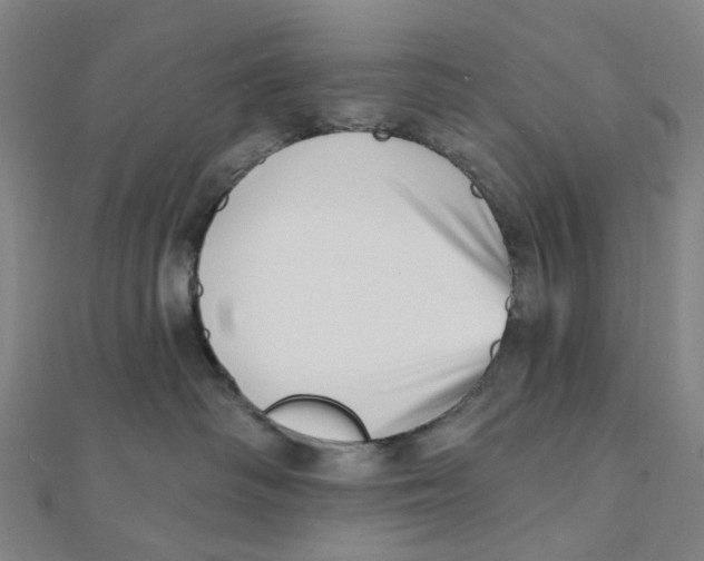X0000112080334200909011049