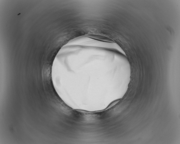 X0000112080336200909011049