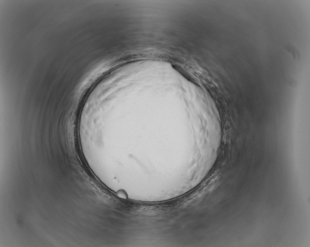 X0000112080341200909011048