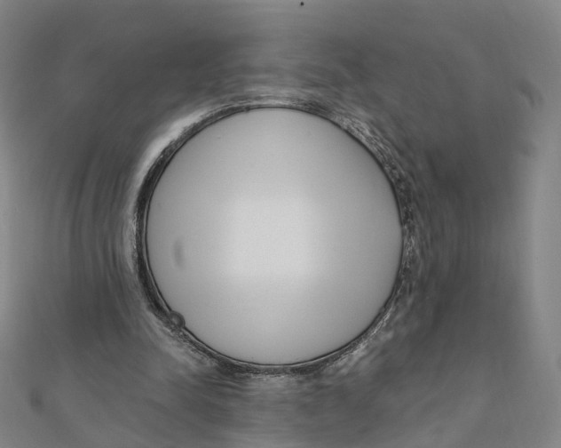 X0000112080342200909011048