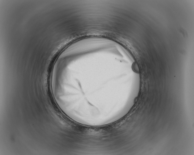 X0000112080346200909011048