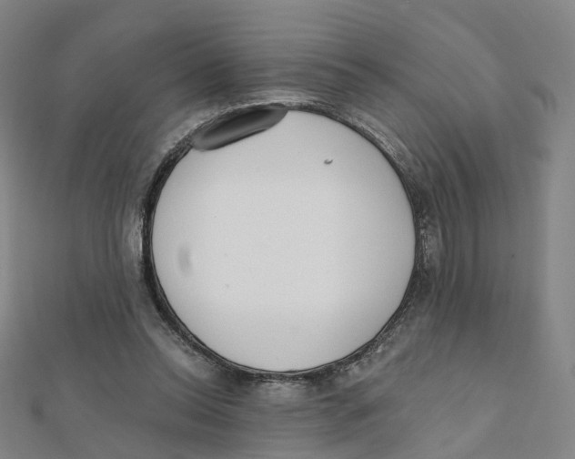 X0000112080350200909011048