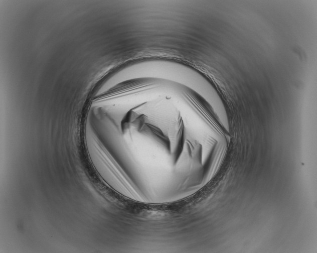 X0000112080352200909011048